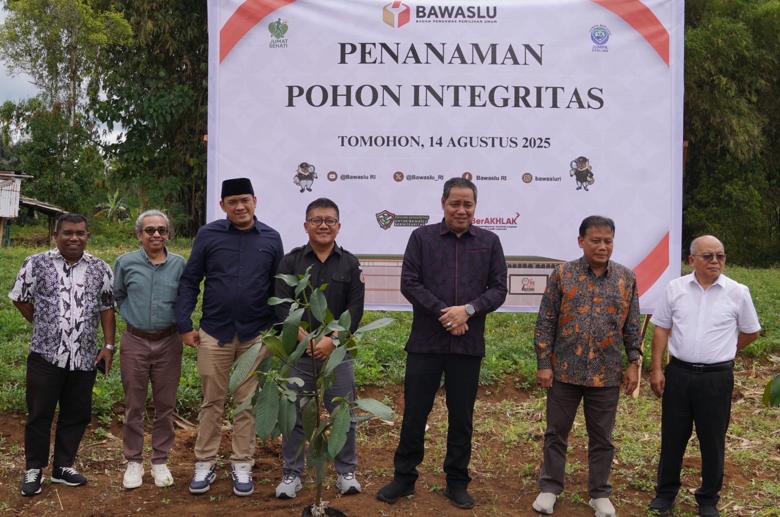 pohon